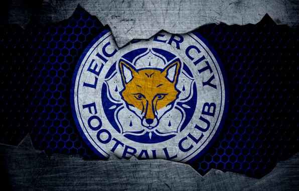Wallpaper, sport, logo, football, Leicester City