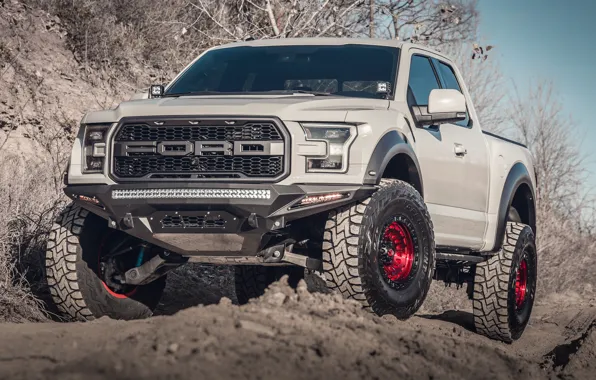 Картинка Ford, Raptor, Mountain, Lights, Pickup, F150, Nardo Gray