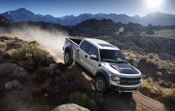 Пейзаж, Ford, внедорожник, Raptor, пикап