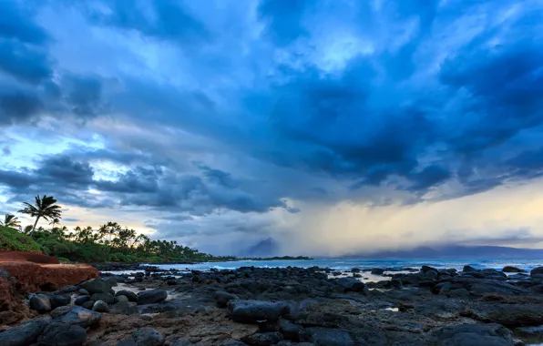 Картинка шторм, природа, пальмы, океан, Гавайи