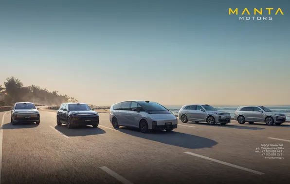 Car, manta rays, lixiang