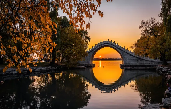 Осень, солнце, деревья, закат, птицы, мост, озеро, пруд