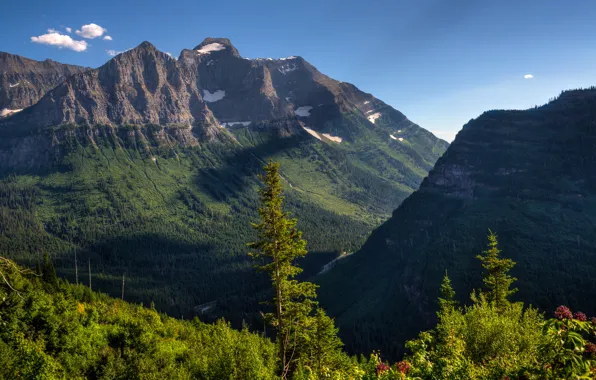 Картинка небо, деревья, горы, долина, склон