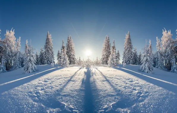 Зима, поле, лес, солнце, лучи, снег, пейзаж, отражение