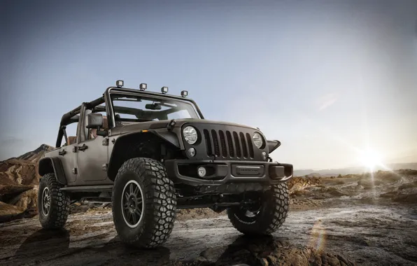 Stealth, Wrangler, Jeep, 2014, Unlimited Rubicon