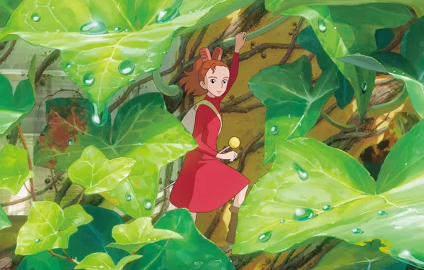 Листья, капли, фэнтези, девочка, Arrietty, Karigurashi no Arrietty