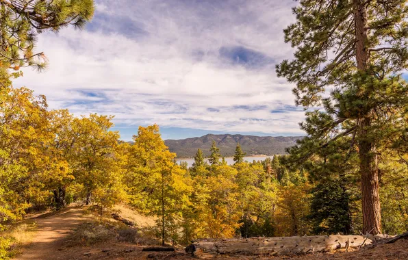 Осень, деревья, горы, озеро, Калифорния, США, Big Bear Lake