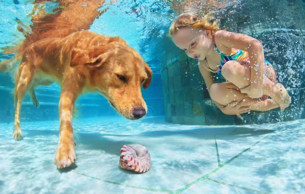 Вода, ребенок, собака, бассейн, ракушка, девочка, water, dogs