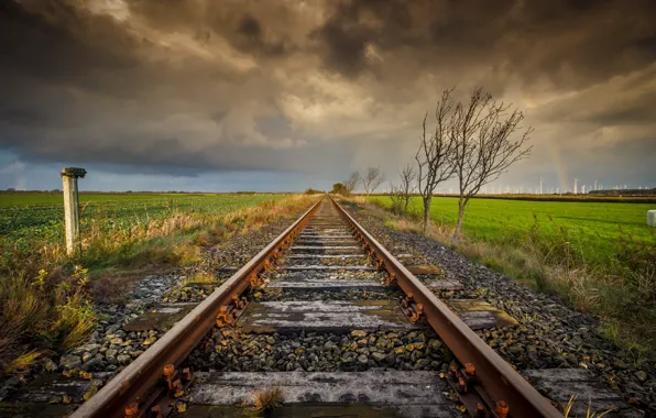 Поле, деревья, железная дорога