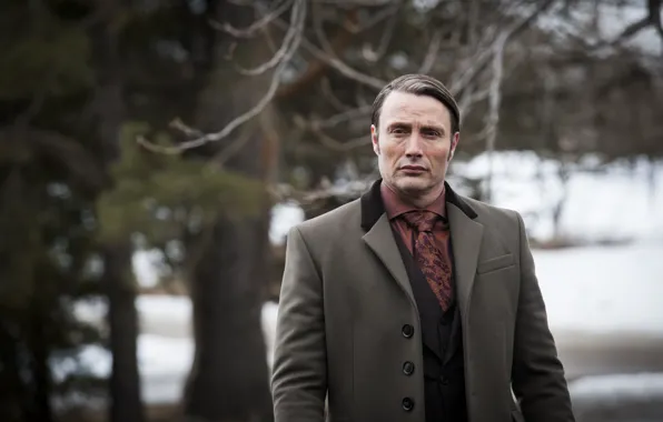 Доктор, актер, сериал, персонаж, Ганнибал Лектер, Мадс Миккельсен, Hannibal, Ганнибал