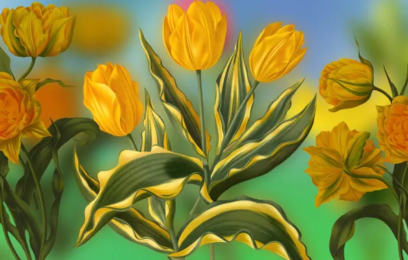 Grafika, Tulipany, Kwiaty