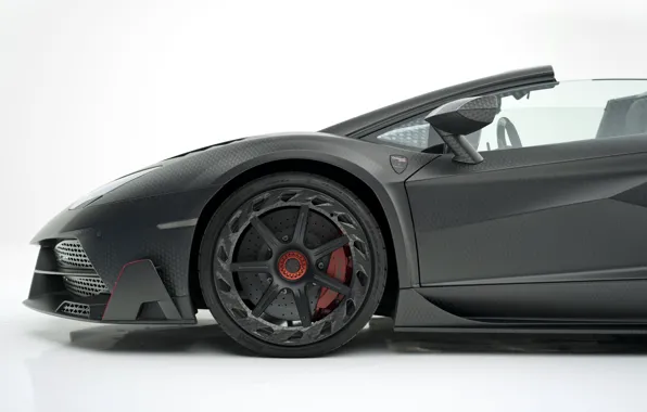 Roadster, Lamborghini, колесо, суперкар, Aventador, Mansory, 2019, Carbonado Evo