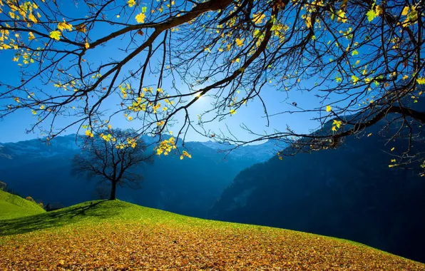 Картинка небо, солнце, деревья, горы, листва, Осень