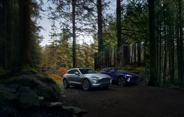 Aston Martin, Астон Мартин, Кроссовер, DBX, Паркетник, Straight-Six