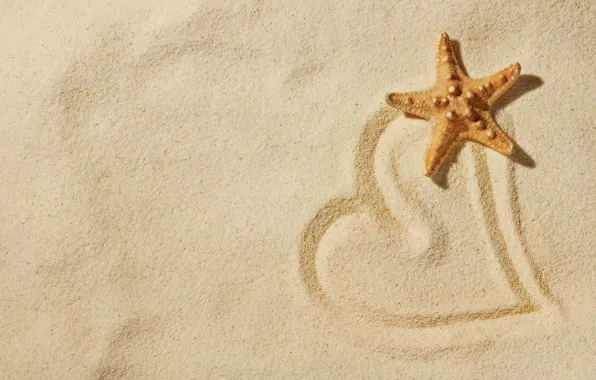 Картинка песок, пляж, любовь, природа, настроения, сердце, звезда, love