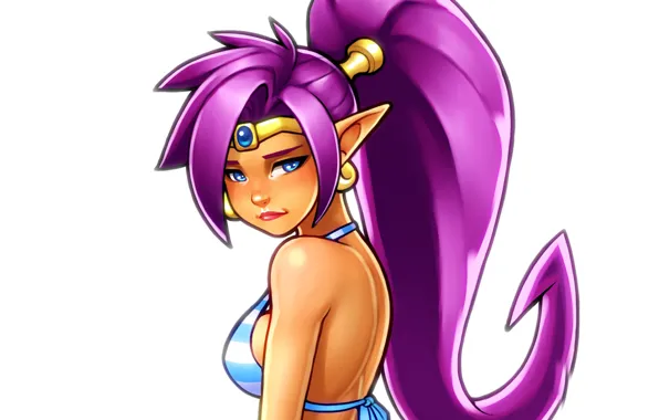 Картинка купальник, грудь, взгляд, девушка, эльф, art, bikini, shantae
