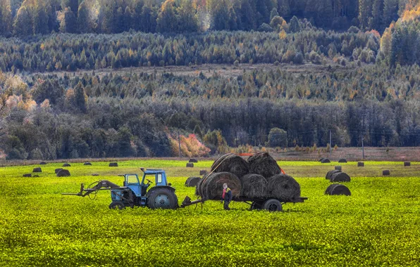 Tractor, farm, sight, farmer