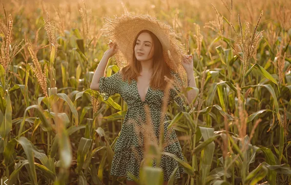 Картинка поле, лето, девушка, поза, шляпа, кукуруза, платье, кукурузное поле