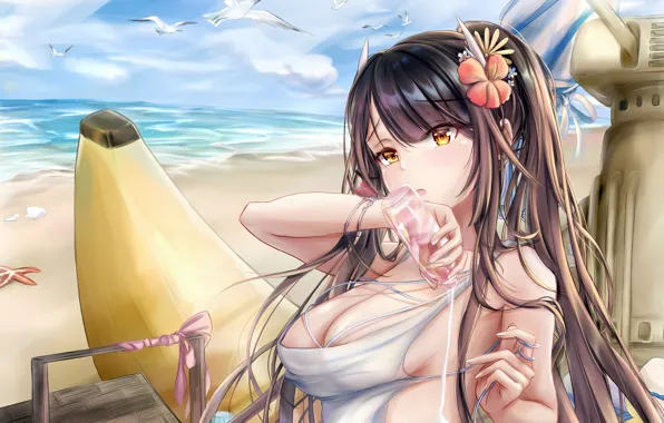 Girl, sexy, cleavage, beach, blouse, sky, long hair, sea