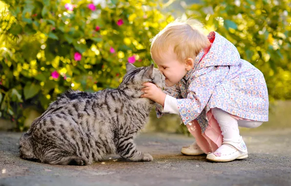 Картинка кошка, кот, радость, настроение, ситуация, поцелуй, девочка, друзья