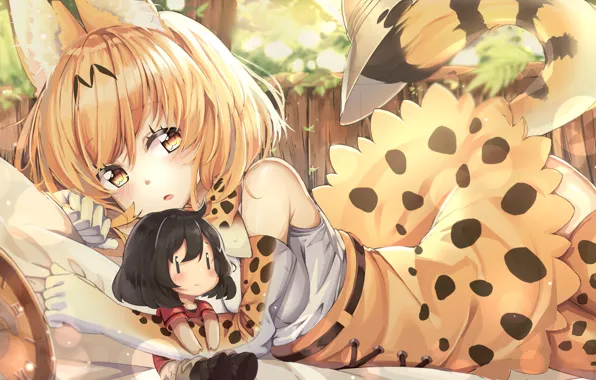 Девушка, Kemono Friends, Ушастые друзья