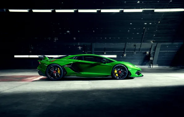 Lamborghini, суперкар, вид сбоку, Aventador, Novitec, SVJ, 2019, Aventador SVJ