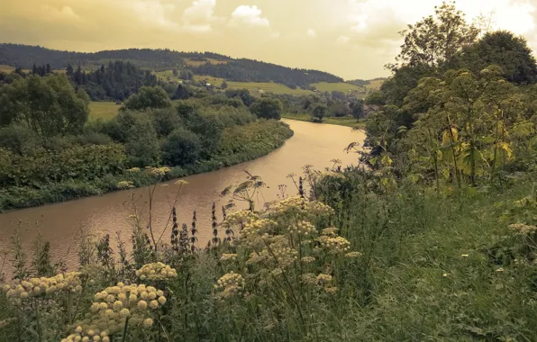Вода, горы, Река
