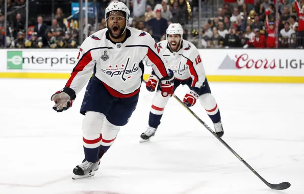 Игра, Спорт, Лед, Вашингтон, Лёд, Washington, 2018, NHL