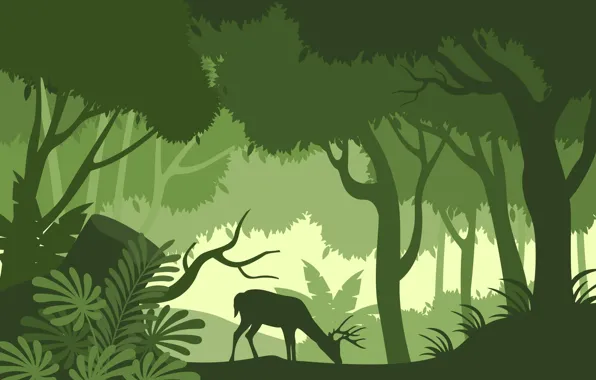 Лес, Фон, Джунгли, Jungle, Background, Forest