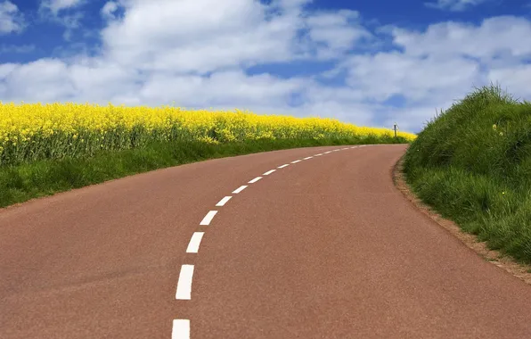 Дорога, небо, трава, листья, облака, пейзаж, цветы, природа