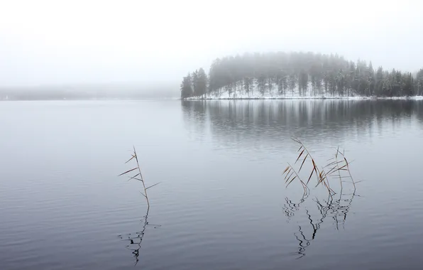 Картинка зима, лес, озеро, Winter Lake