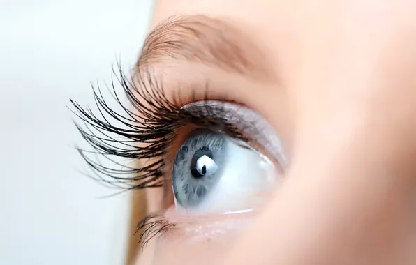Картинка eye, eyelashes, blue iris