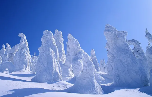 Картинка зима, лес, небо, снег, деревья, мороз