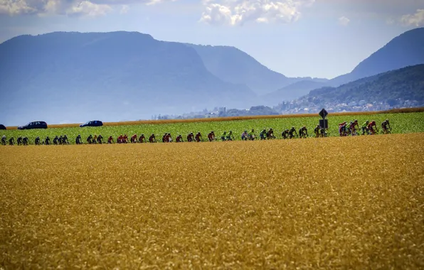 Спорт, велосипедисты, спортсмены, Peloton, Пелотон, Тур де Франс, procycling, elite sport