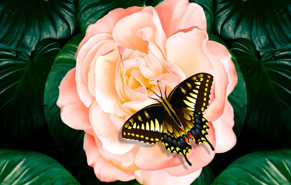 Butterfly, leaves, garden, plant, petals, pink rose, insect