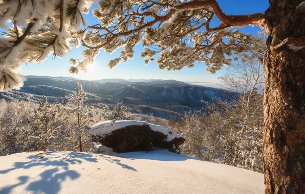 Зима, снег, деревья, горы, вид, панорама