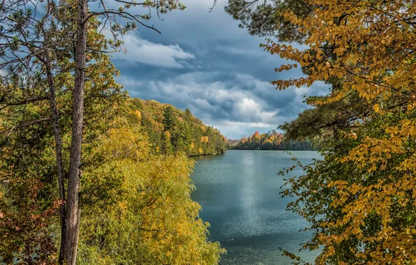 Картинка осень, лес, небо, листья, облака, деревья, тучи, озеро