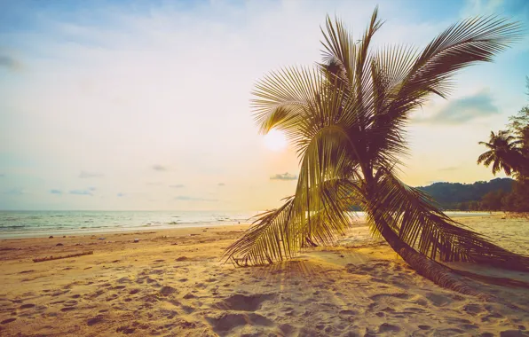 Картинка песок, море, волны, пляж, лето, небо, пальмы, берег