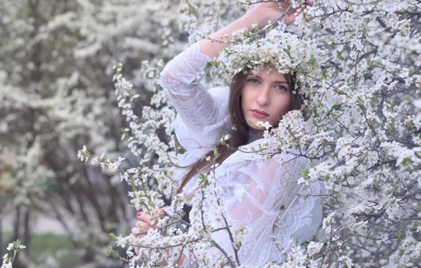 Взгляд, девушка, ветки, вишня, поза, парк, куст, портрет
