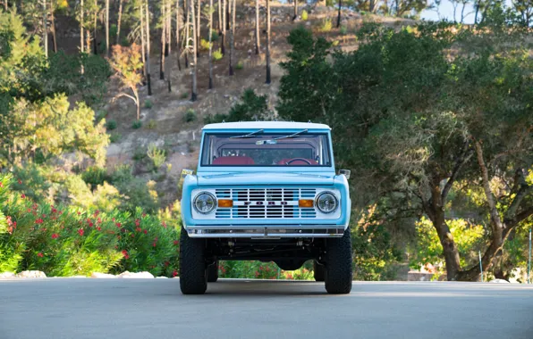 Ford, 1974, Bronco, Ford Bronco