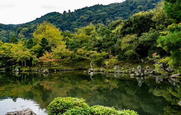 Пруд, парк, фото, Япония, Киото