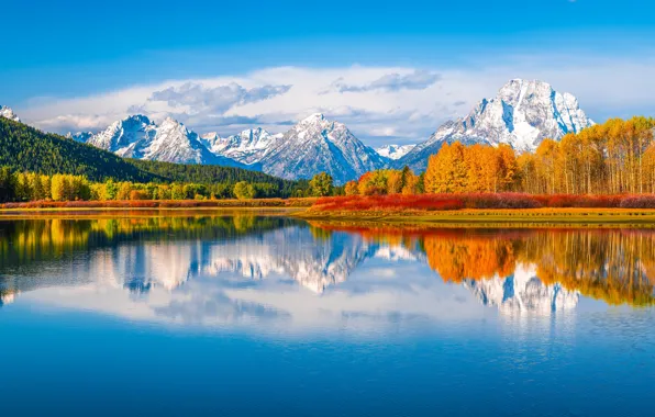 Картинка осень, лес, деревья, горы, отражение, река, Вайоминг, панорама