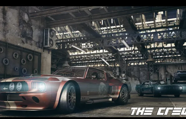 Гараж, Гонка, ford, the crew, GT-500