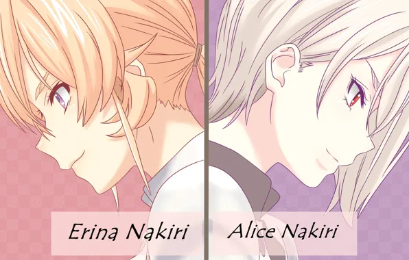 Девушки, anime, art, сёстры, Alice Nakiri, Shokugeki no Souma, Erina Nakiri