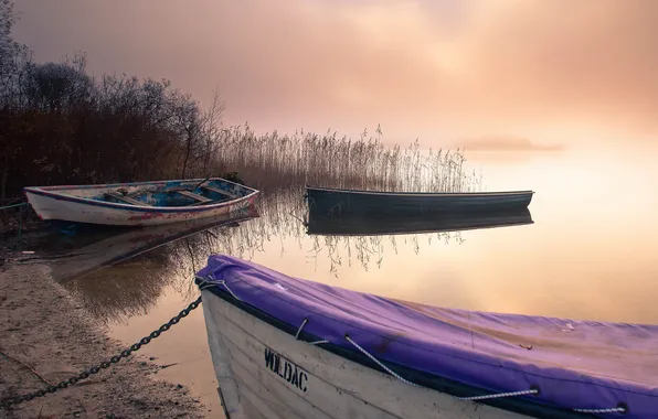 Картинка пейзаж, туман, озеро, лодки
