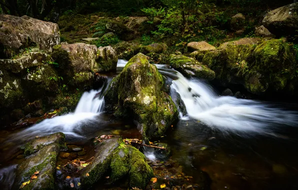Картинка ручей, камни, Англия, мох, Lake District, Cumbria