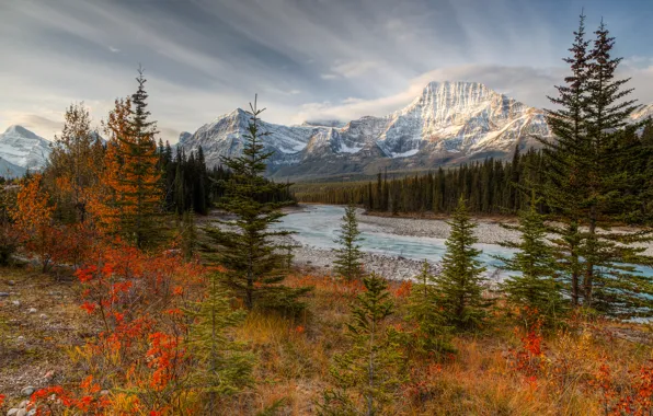 Осень, лес, горы, Канада, Альберта, Национальный парк Джаспер, Октябрь, река Атабаска