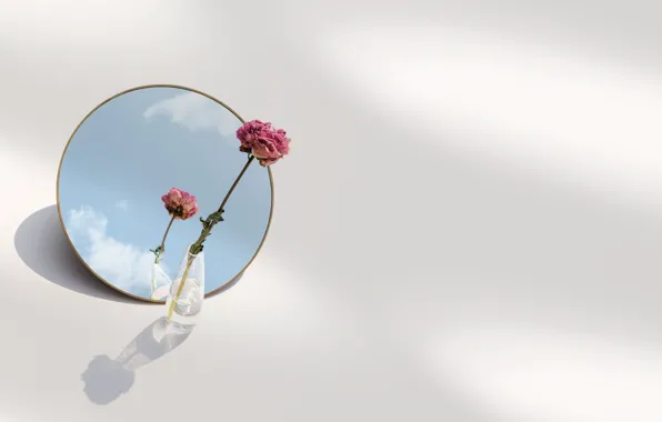 Цветок, небо, зеркало, flower, sky, mirror