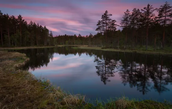 Осень, лес, облака, закат, уют, озеро, отражение, стволы