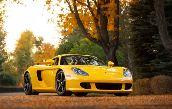 Porsche, supercar, Porsche Carrera GT